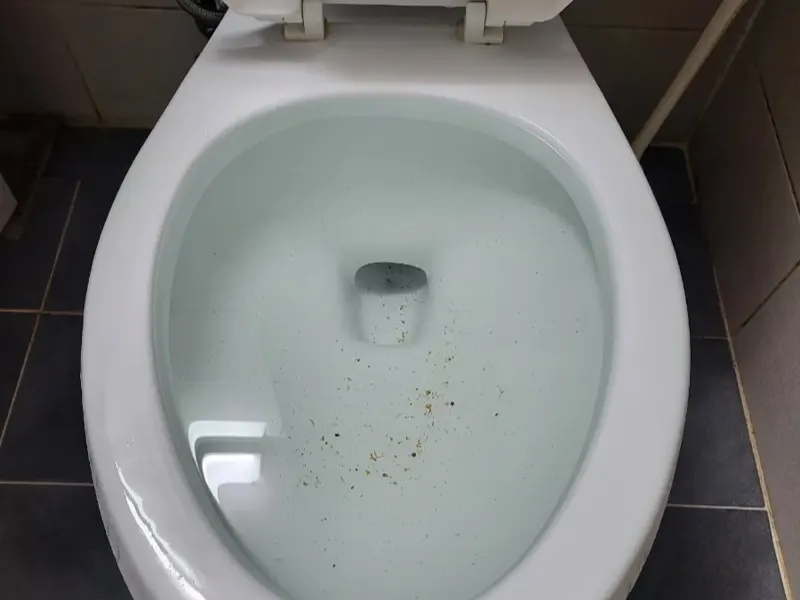 울산 동구 변기막힘 작업사례 6
